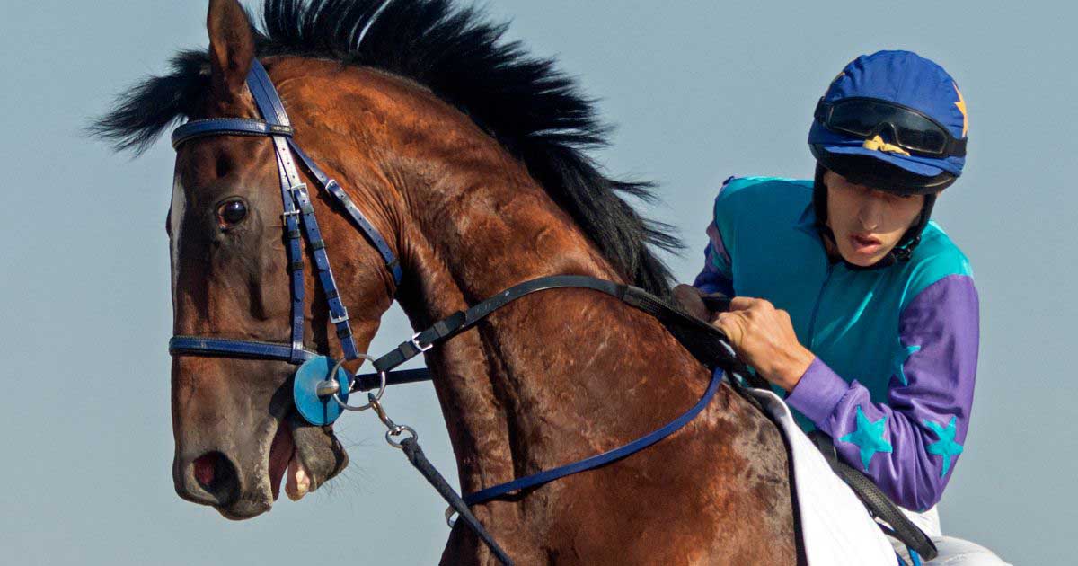 Capbleu3 Horse Racing | Expert Analyses for Betting